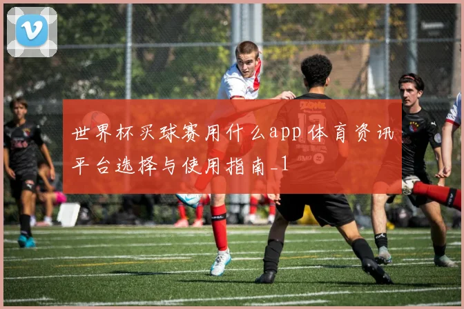 世界杯买球赛用什么app 体育资讯平台选择与使用指南_1