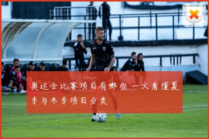 奥运会比赛项目有哪些 一文看懂夏季与冬季项目分类