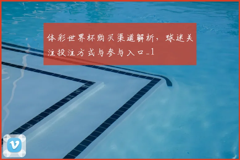 体彩世界杯购买渠道解析，球迷关注投注方式与参与入口_1