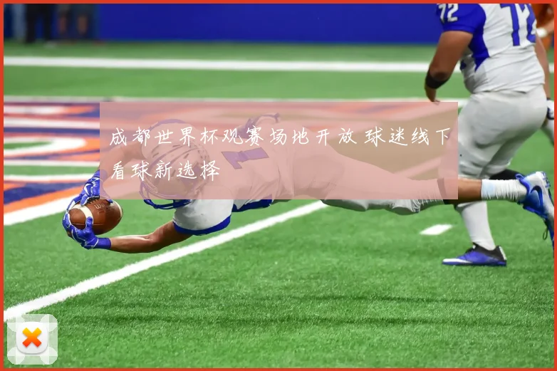 成都世界杯观赛场地开放 球迷线下看球新选择